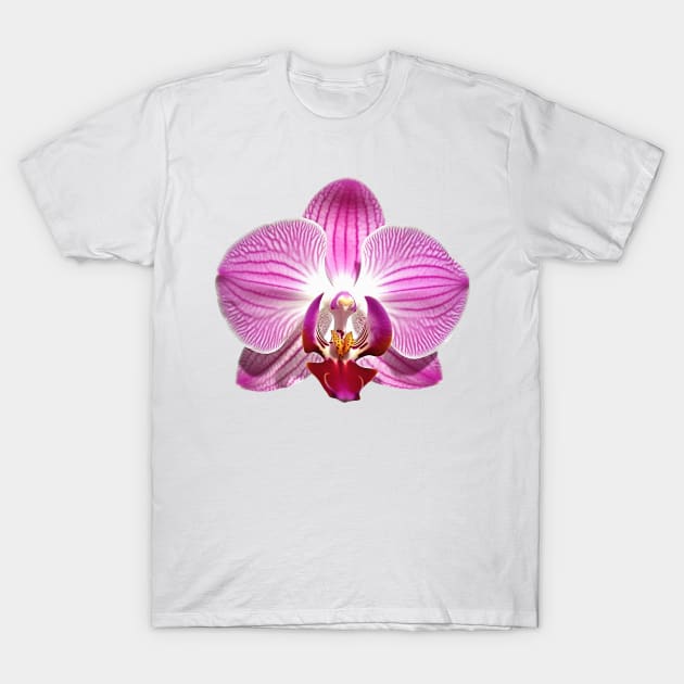 Pink Orchid Flower Art Print T-Shirt by Cre8ily